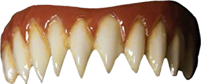 teeth